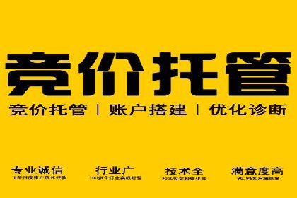 案例解析：SEM托管助力电商销售增长
